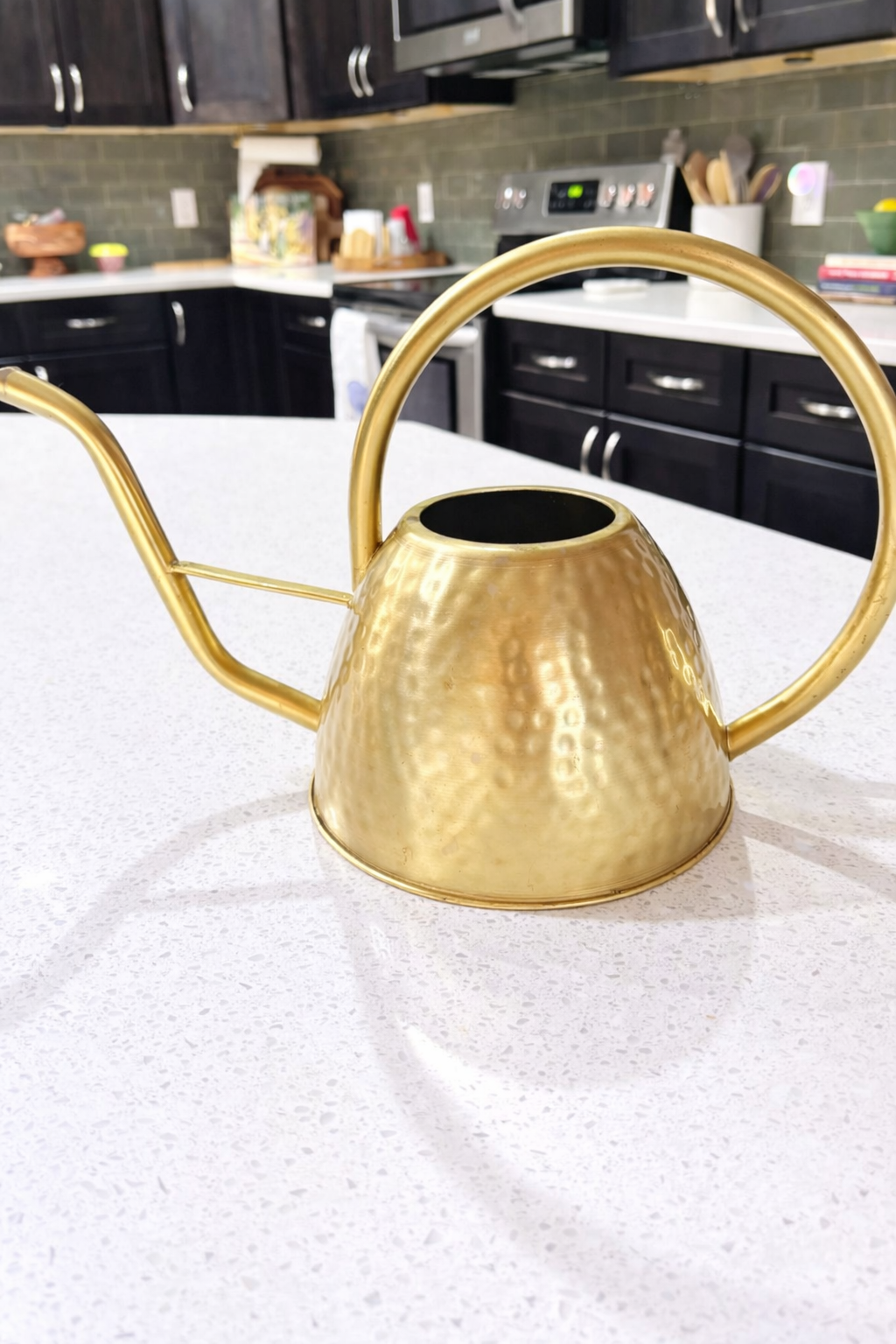 Brass Watering Can-Cozy Home Accent