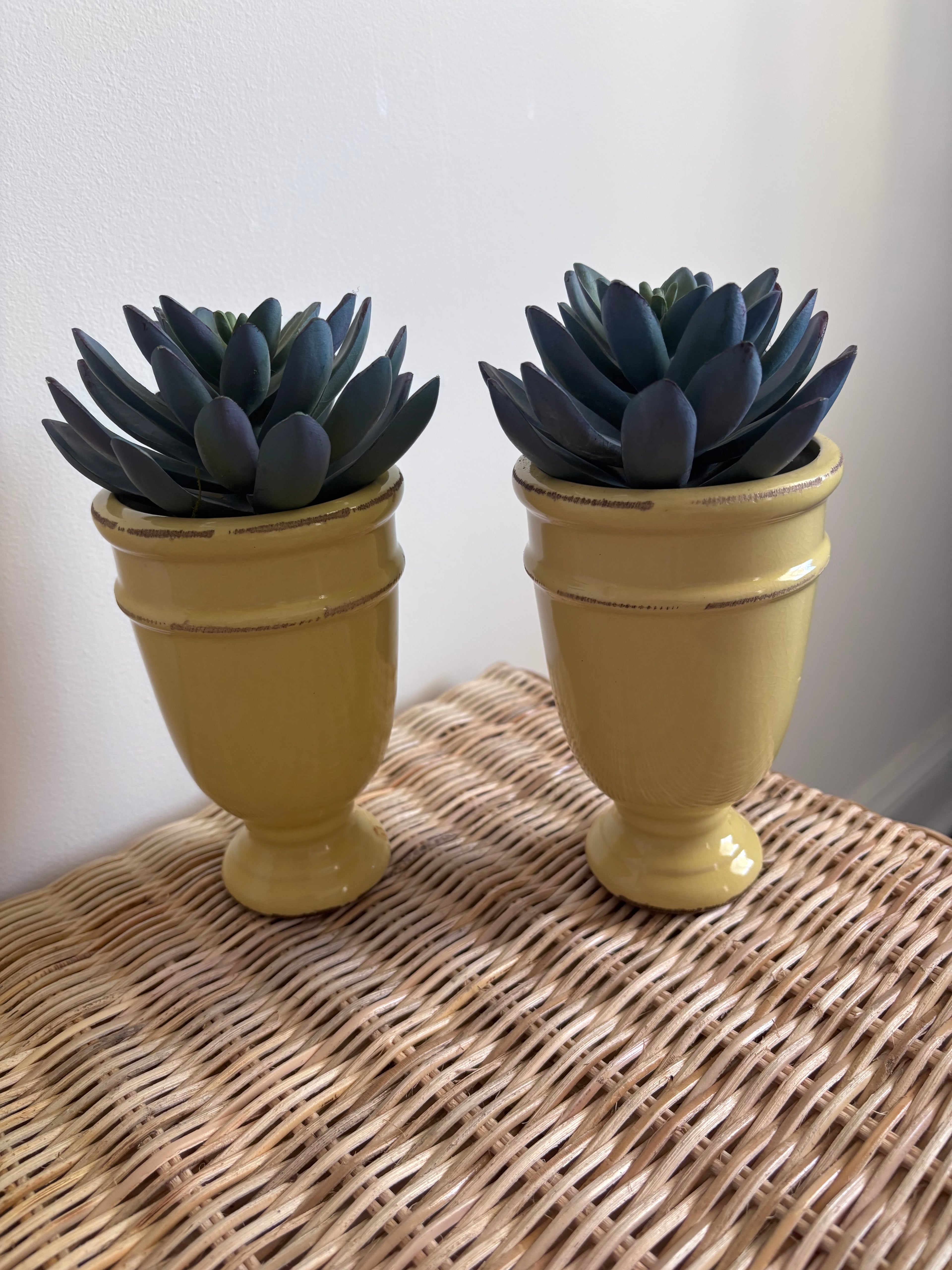 Set of 2 Faux Succulents in Yellow Ceramic Pots